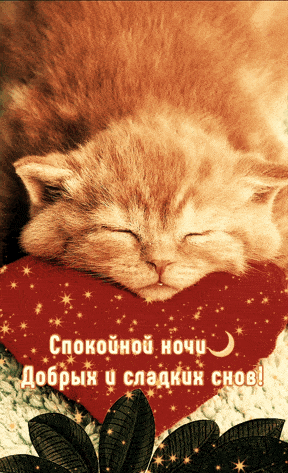 Открытка «Доброй ночи»: Спокойной ночи: милый рыжий кот на подушке-сердце. Тэги: Спокойной ночи, Спокойной ночи…