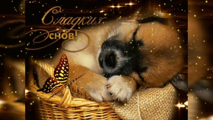 Открытка «Доброй ночи»: Спокойной ночи: милый щенок в корзинке. Тэги: Спокойной ночи, Спокойной ночи, с пожеланиями…