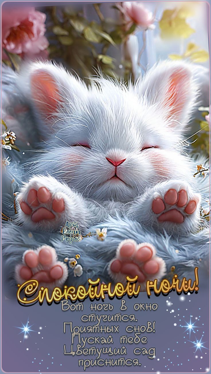 Открытка «Доброй ночи»: Спокойной ночи: милый пушистый котенок в цветах. Тэги: Спокойной ночи, Спокойной ночи, с поже…
