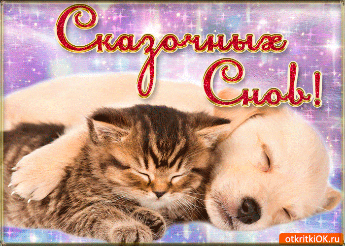 Открытка «Доброй ночи»: Доброй ночи: «Сказочных снов!» с котенком и щенком.