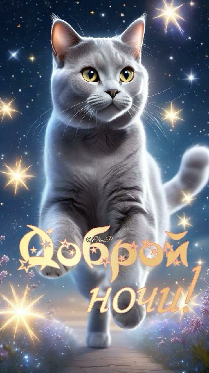 Открытка «Доброй ночи»: Спокойной и доброй ночи: «Белый кот среди звезд».