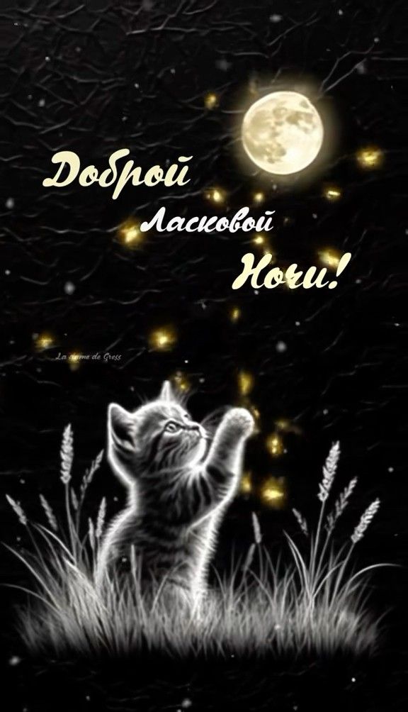 Открытка «Доброй ночи»: Доброй ночи: Милый котик под луной. Тэги: Спокойной ночи, Спокойной ночи, красивые, Спокойной…
