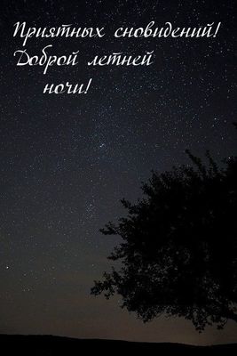 Открытка «Доброй ночи»: Спокойной ночи: Доброй летней ночи и приятных снов. Тэги: Спокойной ночи, Спокойной ночи…