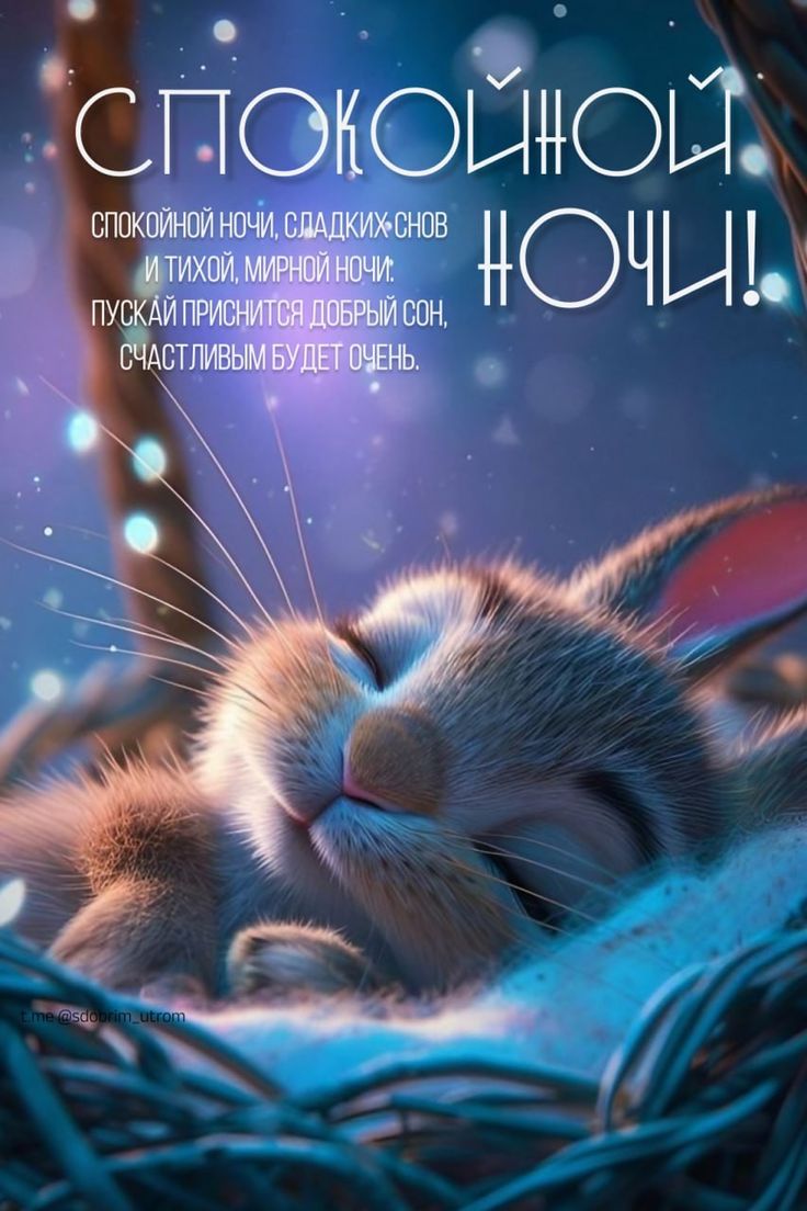 Открытка «Доброй ночи»: Спокойной ночи: «Милый зайчик в гнездышке». Тэги: Спокойной ночи, Спокойной ночи, с пожелания…