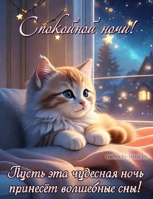Открытка «Доброй ночи»: Спокойной ночи: милый котенок и волшебные сны. Тэги: Спокойной ночи, Спокойной ночи, с пожела…