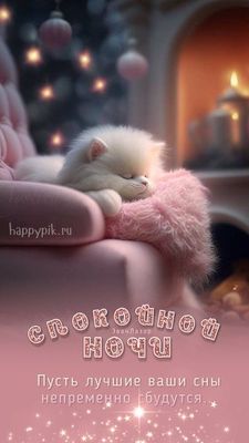Открытка «Доброй ночи»: Спокойной ночи: «Белый котенок в кресле». Тэги: Спокойной ночи, Спокойной ночи, красивые…