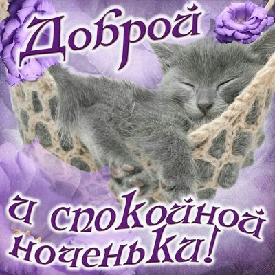 Открытка «Доброй ночи»: Доброй ночи: милый котенок в гамаке. Тэги: Спокойной ночи, Спокойной ночи, красивые, Спокойно…