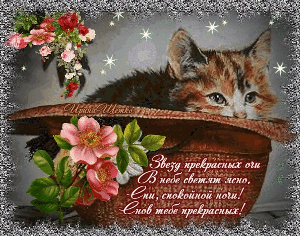 Открытка «Доброй ночи»: Спокойной ночи: милый котик в шляпе с цветами. Тэги: Спокойной ночи, пожелание, кот, рисунок…