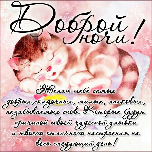 Открытка «Доброй ночи»: Спокойной ночи: милая открытка с котиком и пожеланием. Тэги: Спокойной ночи, Спокойной ночи…