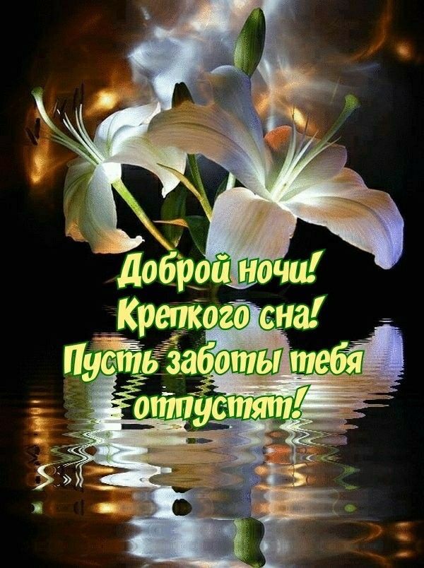 Открытка «Доброй ночи»: Доброй ночи: красивые белые лилии у воды. Тэги: Спокойной ночи, Спокойной ночи, красивые…