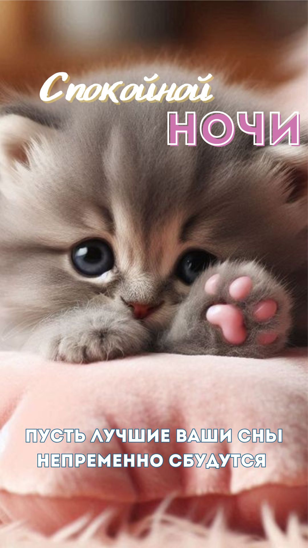 Открытка «Доброй ночи»: Спокойной ночи: милый котенок с лапками и доброе пожелание. Тэги: Спокойной ночи, проза…