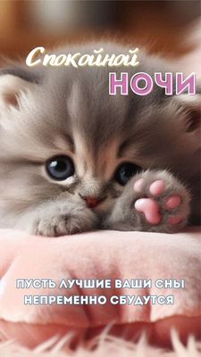 Открытка «Доброй ночи»: Спокойной ночи: милый котенок с лапками и доброе пожелание. Тэги: Спокойной ночи, проза…