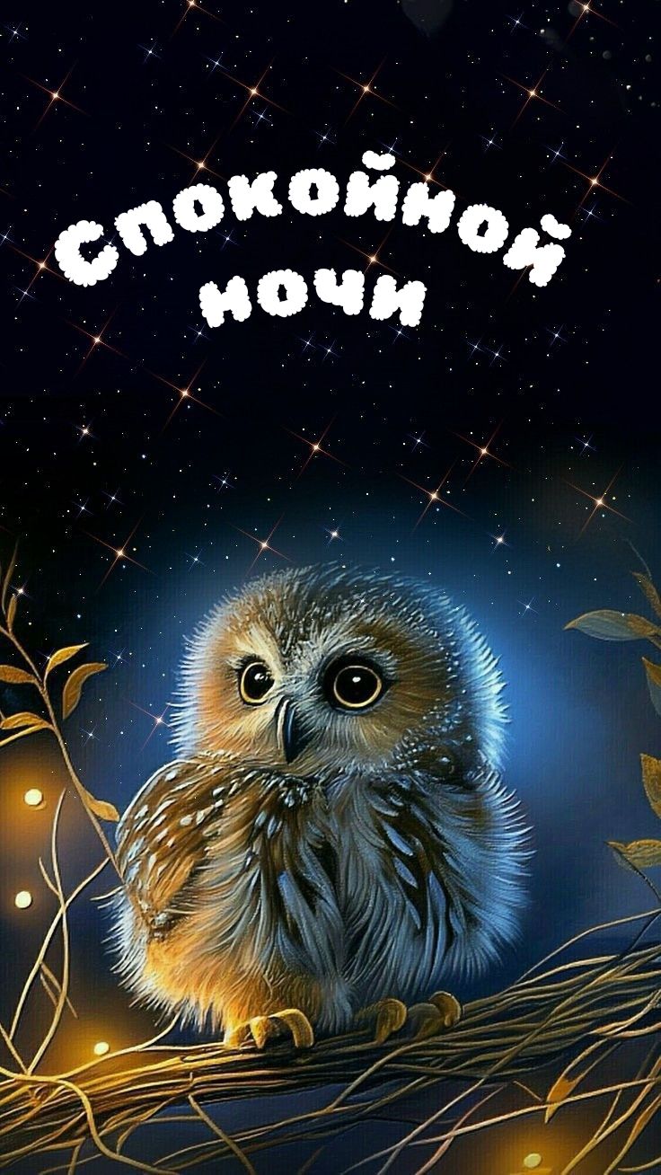 Открытка «Доброй ночи»: Спокойной ночи: милый совушка под звездным небом. Тэги: Спокойной ночи, Спокойной ночи…