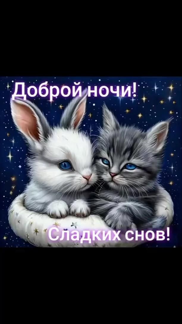 Открытка «Доброй ночи»: Доброй ночи: Сладких снов от зайки и котенка. Тэги: Спокойной ночи, Спокойной ночи, с пожелан…
