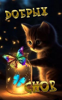 Открытка «Доброй ночи»: Доброй ночи: Милый котенок и волшебные бабочки. Тэги: Спокойной ночи, Спокойной ночи, красивые…