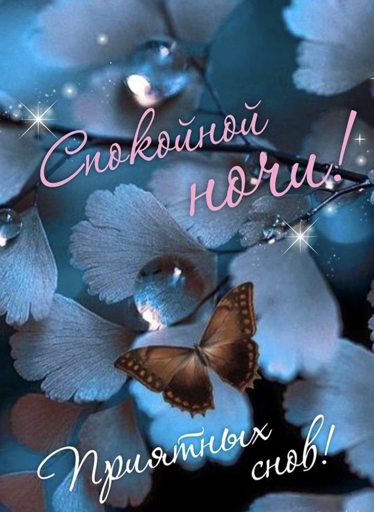 Открытка «Доброй ночи»: Спокойной ночи: Волшебная бабочка и роса. Тэги: Спокойной ночи, мечтательный, Спокойной ночи…