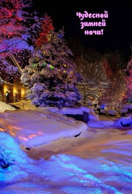Открытка «Доброй ночи»: Доброй ночи: Чудесная зимняя ночь в лесу. Тэги: Спокойной ночи, Спокойной ночи, красивые…