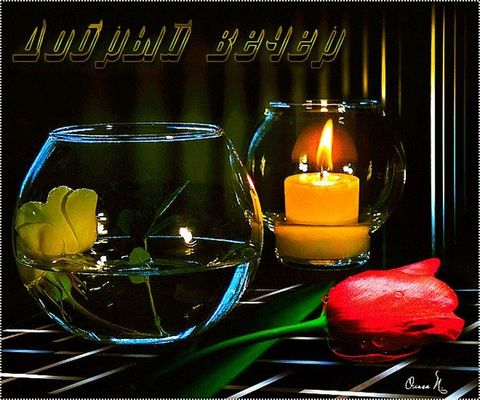 Открытка «Добрый вечер и пожелания»: Добрый вечер: «Свеча и тюльпан» для уютного настроения. Тэги: Добрый вечер краси…