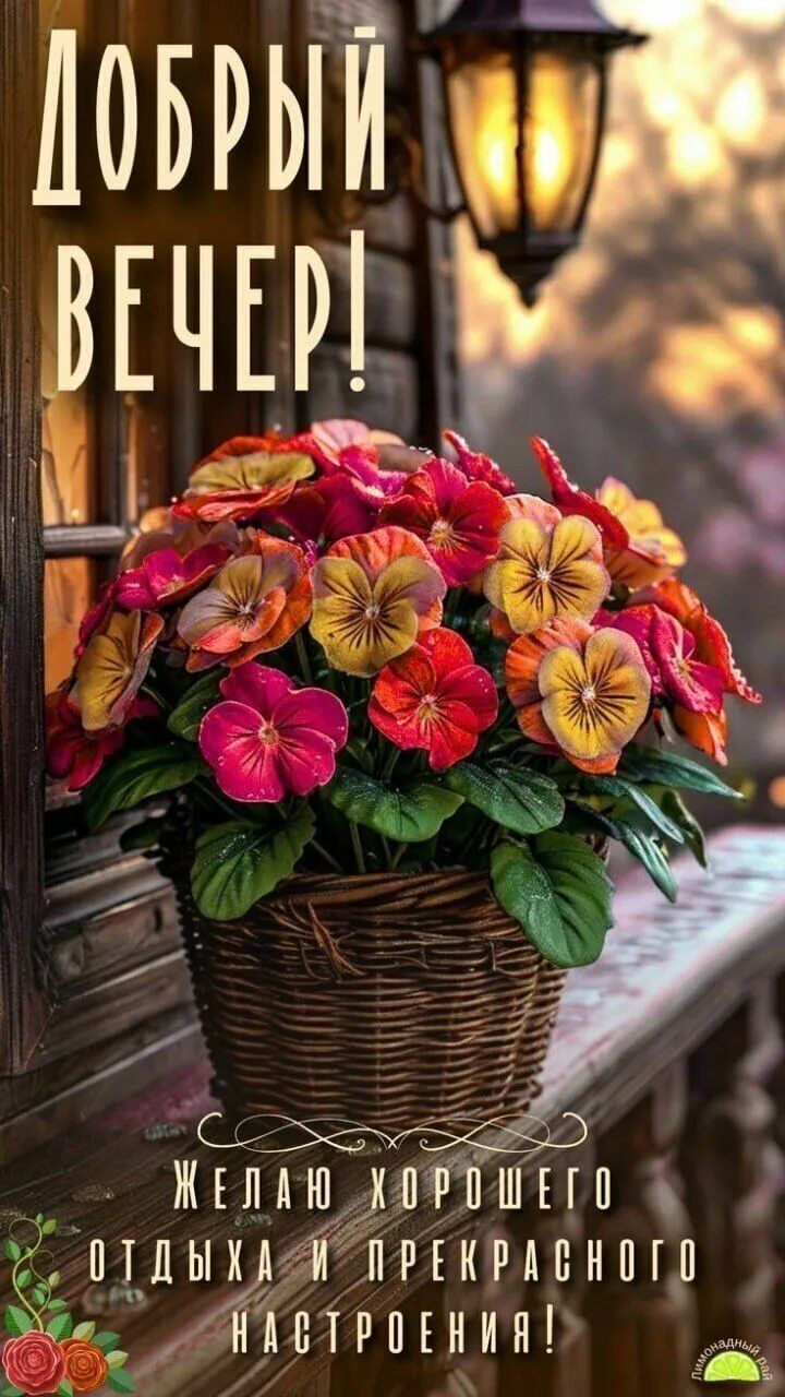 Открытка «Добрый вечер и пожелания»: Добрый вечер! Открытка с цветами для настроения. Тэги: Доброго вечера и хорошего…