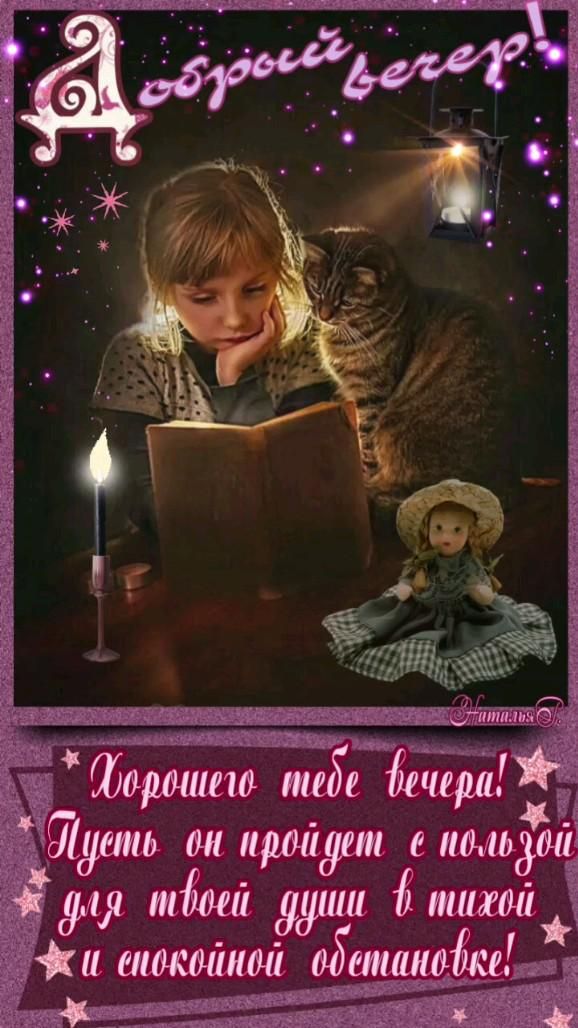 Открытка «Добрый вечер и пожелания»: Добрый вечер: Душевное пожелание спокойного отдыха. Тэги: Добрый вечер, с котика…