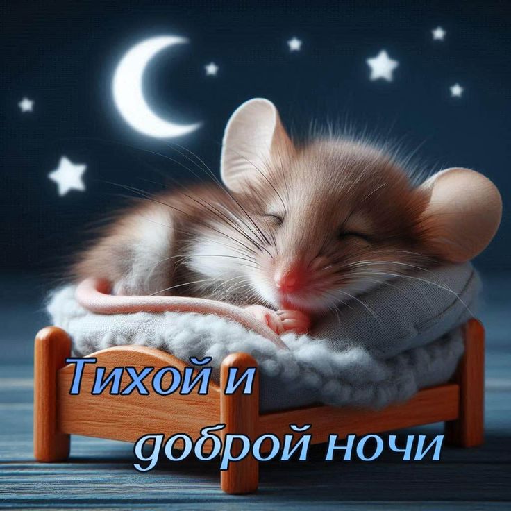 Открытка «Доброй ночи»: Спокойной ночи: «Спящий мышонок». Тэги: Спокойной ночи, Спокойной ночи, с пожеланиями, Доброй…