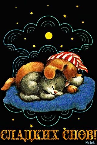 Открытка «Доброй ночи»: Спокойной ночи: Сладких снов от щеночка и котенка. Тэги: Спокойной ночи, Спокойной ночи…