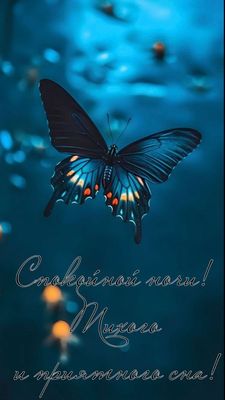 Открытка «Доброй ночи»: Спокойной ночи: Волшебная бабочка и приятного сна. Тэги: Спокойной ночи, глубокий, Спокойной…