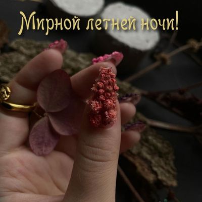 Открытка «Доброй ночи»: Открытка доброй ночи: мирного летнего отдыха. Тэги: Спокойной ночи, мирный, мануальный…