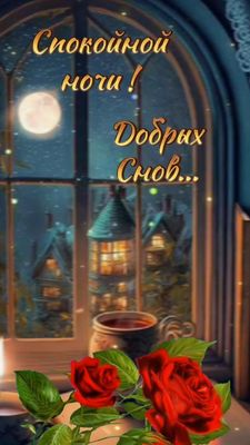 Открытка «Доброй ночи»: Спокойной ночи: Добрых снов и красные розы у окна. Тэги: Спокойной ночи, Спокойной ночи…