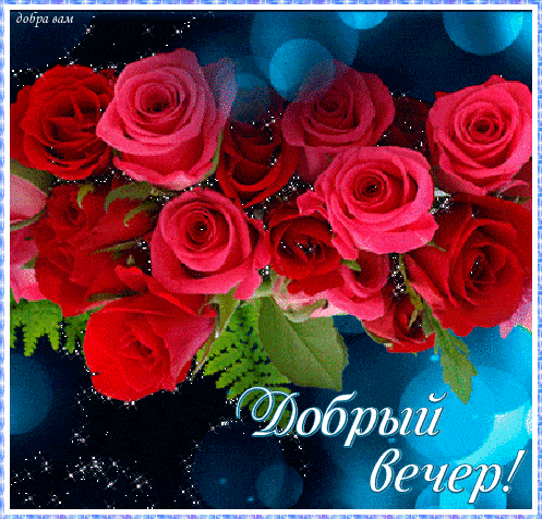 Открытка «Добрый вечер и пожелания»: Добрый вечер: «Роскошный букет роз». Тэги: Добрый вечер женщине, Доброго вечера…
