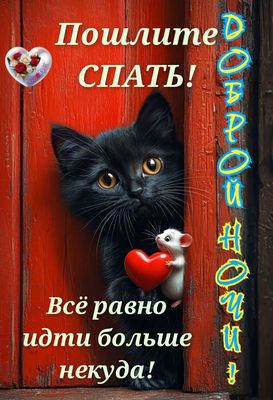 Открытка «Доброй ночи»: Доброй ночи: Забавная открытка с черным котом и мышкой.