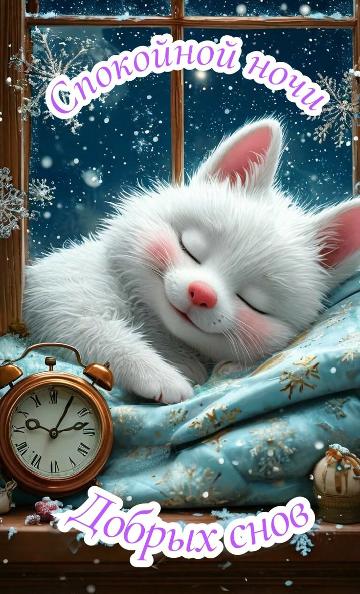 Открытка «Доброй ночи»: Спокойной ночи: милый котик и зимний сон. Тэги: Спокойной ночи, Спокойной ночи, красивые…