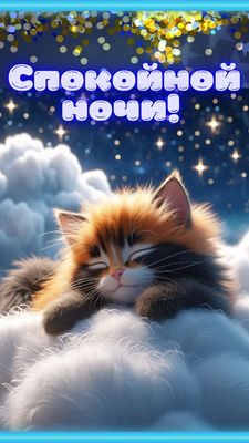 Открытка «Доброй ночи»: Спокойной ночи: пушистый котик на облаке. Тэги: Спокойной ночи, Спокойной ночи, с пожеланиями…