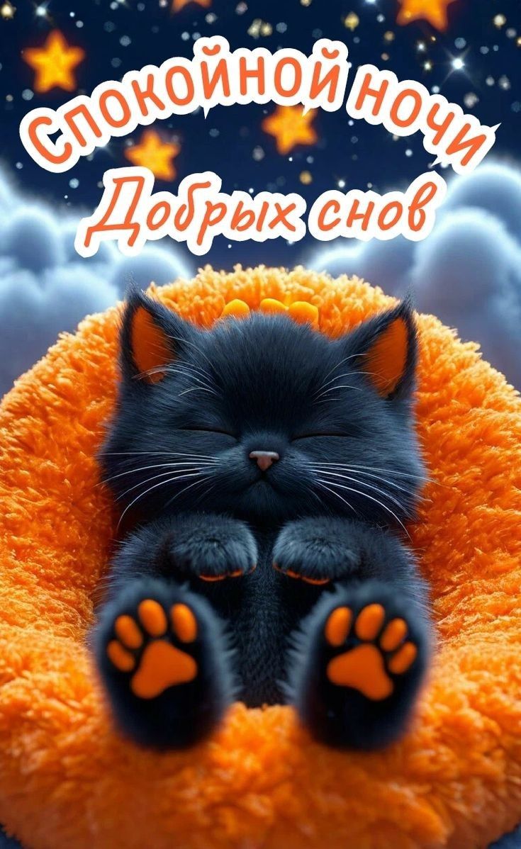 Открытка «Доброй ночи»: Спокойной ночи: черный котик и звездное небо. Тэги: Спокойной ночи, Спокойной ночи, с пожелан…