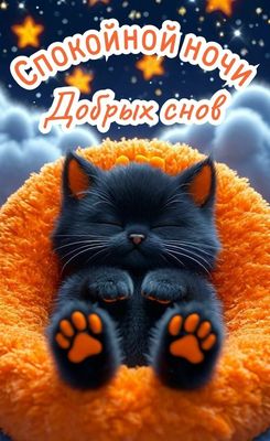Открытка «Доброй ночи»: Спокойной ночи: черный котик и звездное небо. Тэги: Спокойной ночи, Спокойной ночи, с пожелан…