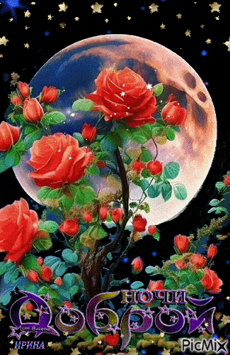 Открытка «Доброй ночи»: Спокойной и доброй ночи: «Розы под звездным небом».