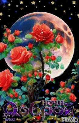Открытка «Доброй ночи»: Спокойной и доброй ночи: «Розы под звездным небом».