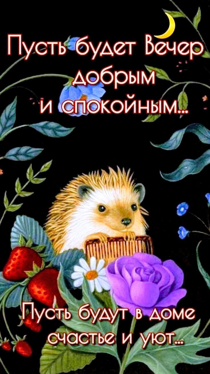 Открытка «Добрый вечер и пожелания»: Добрый вечер: милый ежик и пожелание уюта. Тэги: Добрый вечер, с цветами, Доброго…