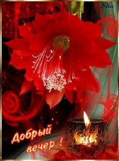 Открытка «Добрый вечер и пожелания»: Добрый вечер! Красивая открытка с цветком и свечой. Тэги: Добрый вечер женщине…