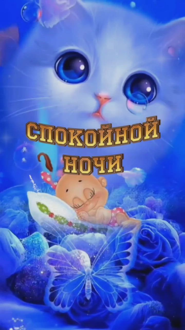 Открытка «Доброй ночи»: Спокойной ночи: открытка с милым котом и бабочкой. Тэги: Спокойной ночи, Спокойной ночи…
