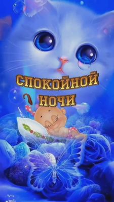 Открытка «Доброй ночи»: Спокойной ночи: открытка с милым котом и бабочкой. Тэги: Спокойной ночи, Спокойной ночи…