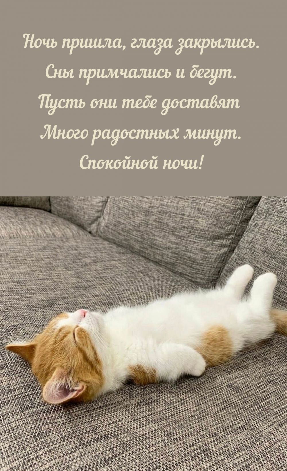 Открытка «Доброй ночи»: Спокойной ночи: милый котенок и доброе пожелание. Тэги: Спокойной ночи, Спокойной ночи…