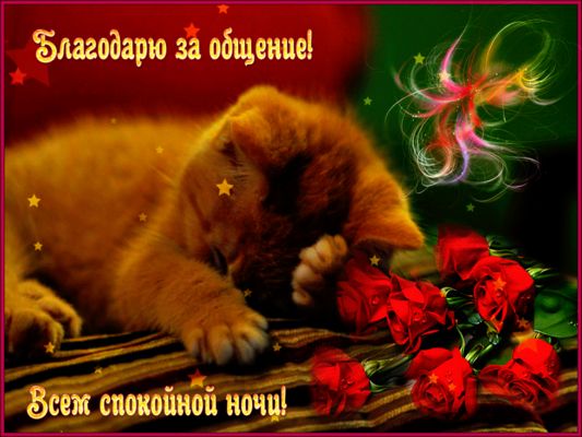 Открытка «Доброй ночи»: Спокойной ночи: милый котенок и красные розы. Тэги: Спокойной ночи, Доброй и спокойной ночи…