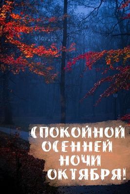 Открытка «Доброй ночи»: Спокойной ночи! Атмосферный октябрь и осенний лес. Тэги: Спокойной ночи, Спокойной ночи…