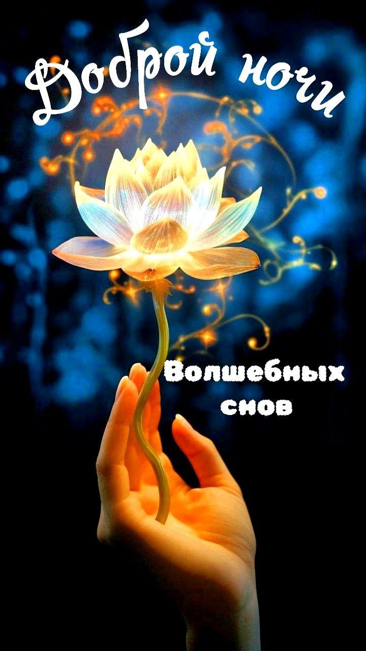 Открытка «Доброй ночи»: Доброй ночи: Волшебный лотос и сладкие сны. Тэги: Спокойной ночи, Спокойной ночи, красивые…