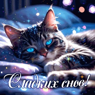 Открытка «Доброй ночи»: Спокойной ночи: Волшебный кот и Сладких снов!. Тэги: Спокойной ночи, Спокойной ночи, красивые…