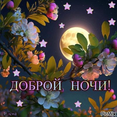 Открытка «Доброй ночи»: Спокойной и доброй ночи: «Луна и весенние цветы».