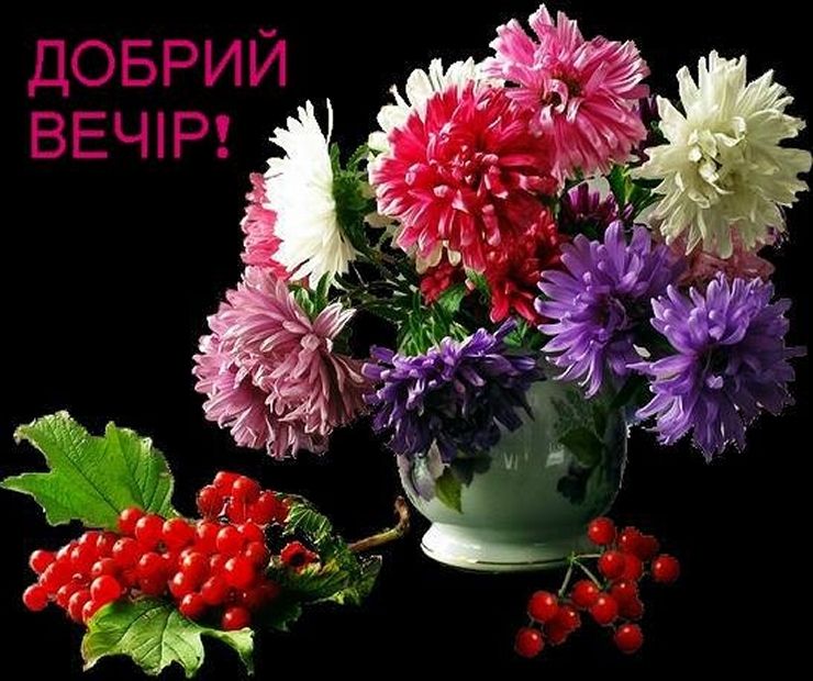 Открытка «Добрый вечер и пожелания»: Добрый вечер! Красивый букет астр и калина. Тэги: Добрый вечер женщине, Доброго…