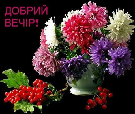 Открытка «Добрый вечер и пожелания»: Добрый вечер! Красивый букет астр и калина. Тэги: Добрый вечер женщине, Доброго…