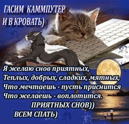 Открытка «Доброй ночи»: Доброй ночи: Смешной кот у компьютера и теплое пожелание.